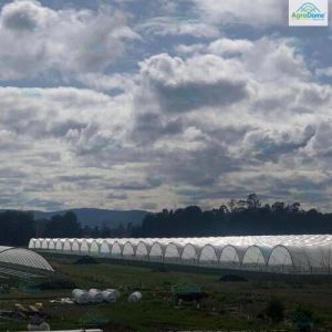 Multi Span Poly Tunnel Structure