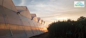 Naturally Ventilated Poly House