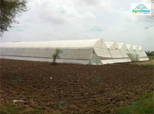 Naturally Ventilated Poly House