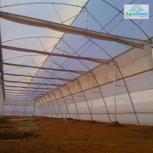 Nhb Subsidy Natural Ventilated Polyhouse