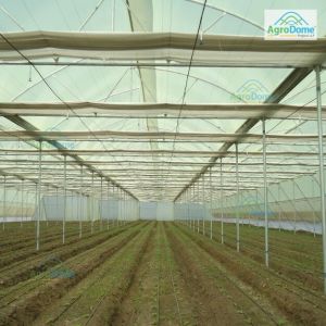 Nhb Subsidy Natural Ventilated Polyhouse