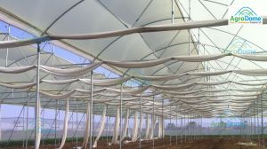 Nhb Subsidy Natural Ventilated Polyhouse