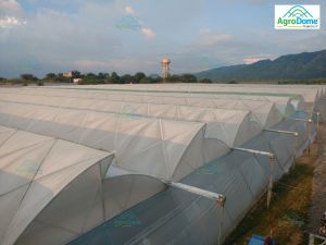 Nhb Subsidy Natural Ventilated Polyhouse