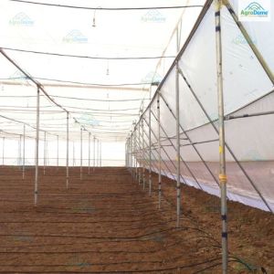 Orchards Flat Roof Shade Net House
