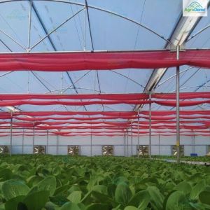 Poly House for Vertical Farming
