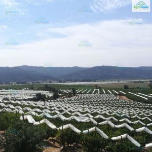 Roof Shade Net House Anti Hail with Trellising System for Apple