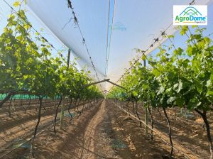 Shade Net House for Grapes Orchard Structure