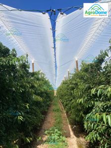 Shade Net House for Cherry Orchard Structure