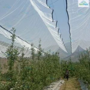 Shade Net House for Apple Orchard Structure