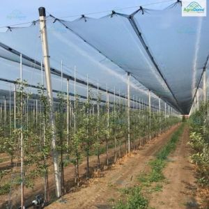 Shade Net House for Apple Orchard Structure