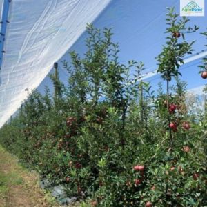 Shade Net House for Apple Orchard Structure