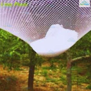 Shade Net House for Apple Orchard Structure