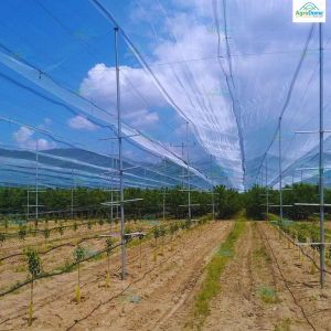 Transparent Anti Hail Shade Net House For Apple Orchards