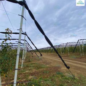 Transparent Anti Hail Shade Net House For Apple Orchards