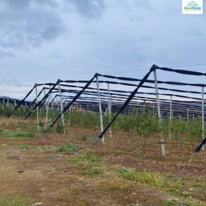 Transparent Anti Hail Shade Net House For Apple Orchards