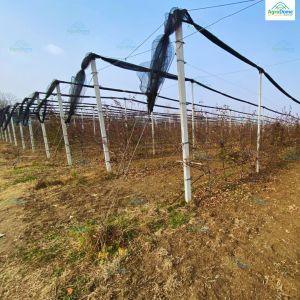 Transparent Anti Hail Shade Net House For Apple Orchards