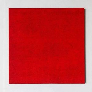 Red Acoustic Panel