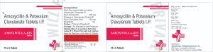 Amoxwilla 625 Amoxycillin Potassium Clavulanate Tablets