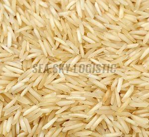 1509 Golden Sella Rice