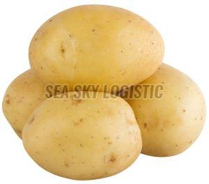 Brown A Grade Fresh Potato