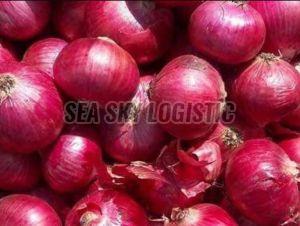 fresh onions