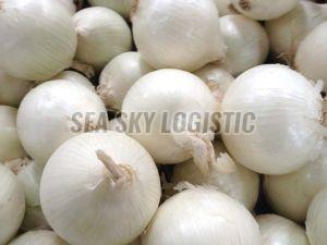 Fresh White Onions
