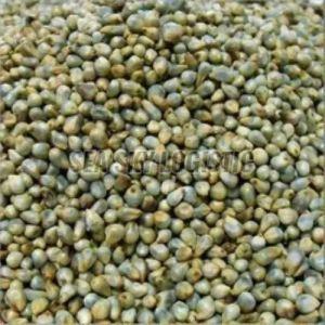 Green Millets