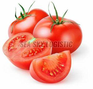 Hybrid Fresh Tomato