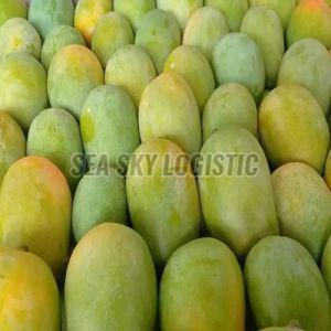 Valsadi Hafoos Mango