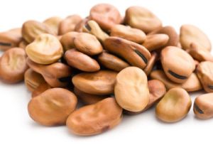 Fava Beans