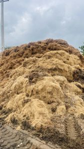 Coir Waste