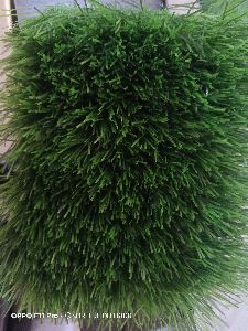Artificial Grass