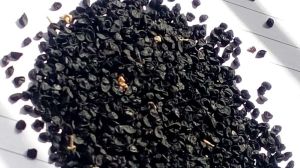 Nashik Red Onion Seeds