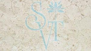 Imported Desert Beige Granite Slab