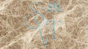 Imported Emperador Light Granite Slab