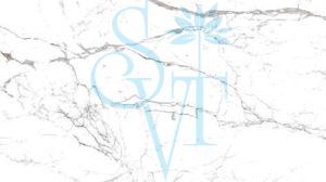 Imported Statuario Granite Slab