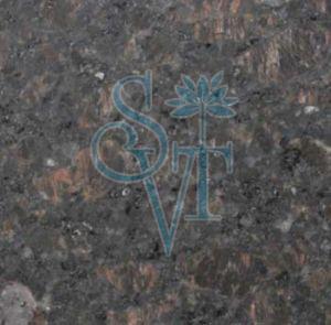 Imported Tan Brown Leather Granite Slab