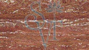 Imported Travertino Rosso Granite Slab