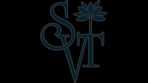 Indian Absolute Black Granite Slab