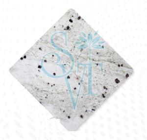 Indian Andromeda White Granite Slab