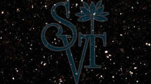 Indian Bengal Black Granite Slab