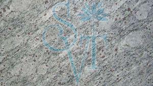 Indian Dunes Blue Granite Slab
