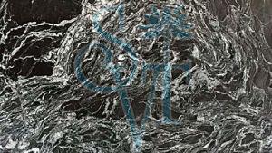 Indian Forest Black Granite Slab