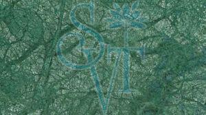 Indian Forest Green Granite Slab