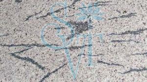 Indian French White Granite Slab