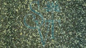 Indian Hassan Green Granite Slab