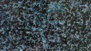 Indian Impala Black Granite Slab