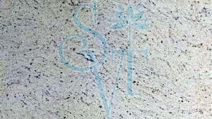 Indian Imperial White Granite Slab