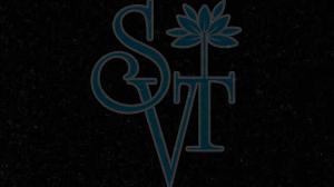 Indian Jet Black Granite Slab