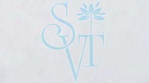 Indian Makrana White Granite Slab